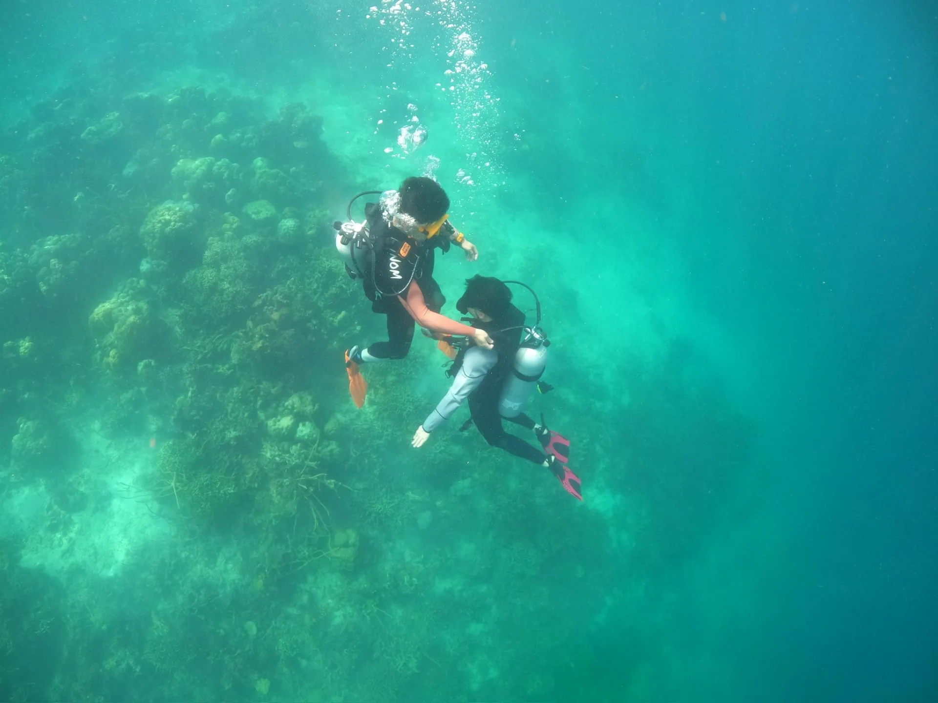 8月1日（星期六）📍西貢🌊初級潛水員課程
