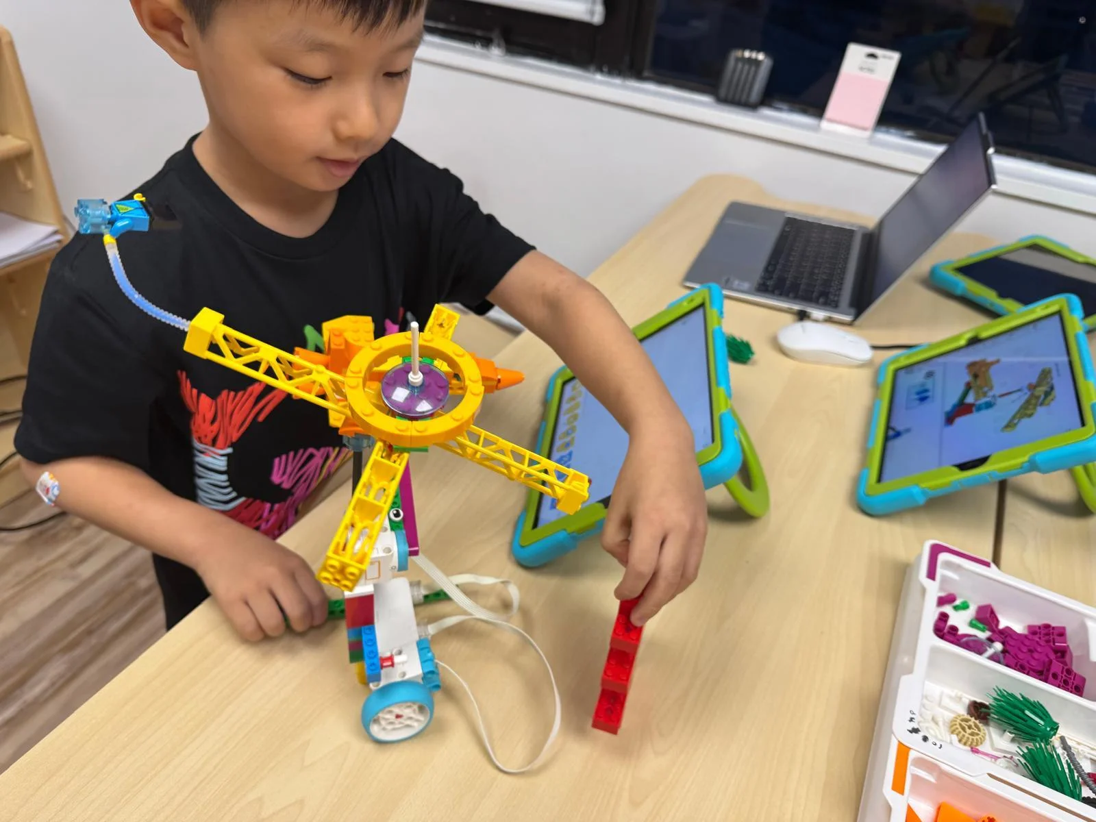 Stem Education 試堂買一送一