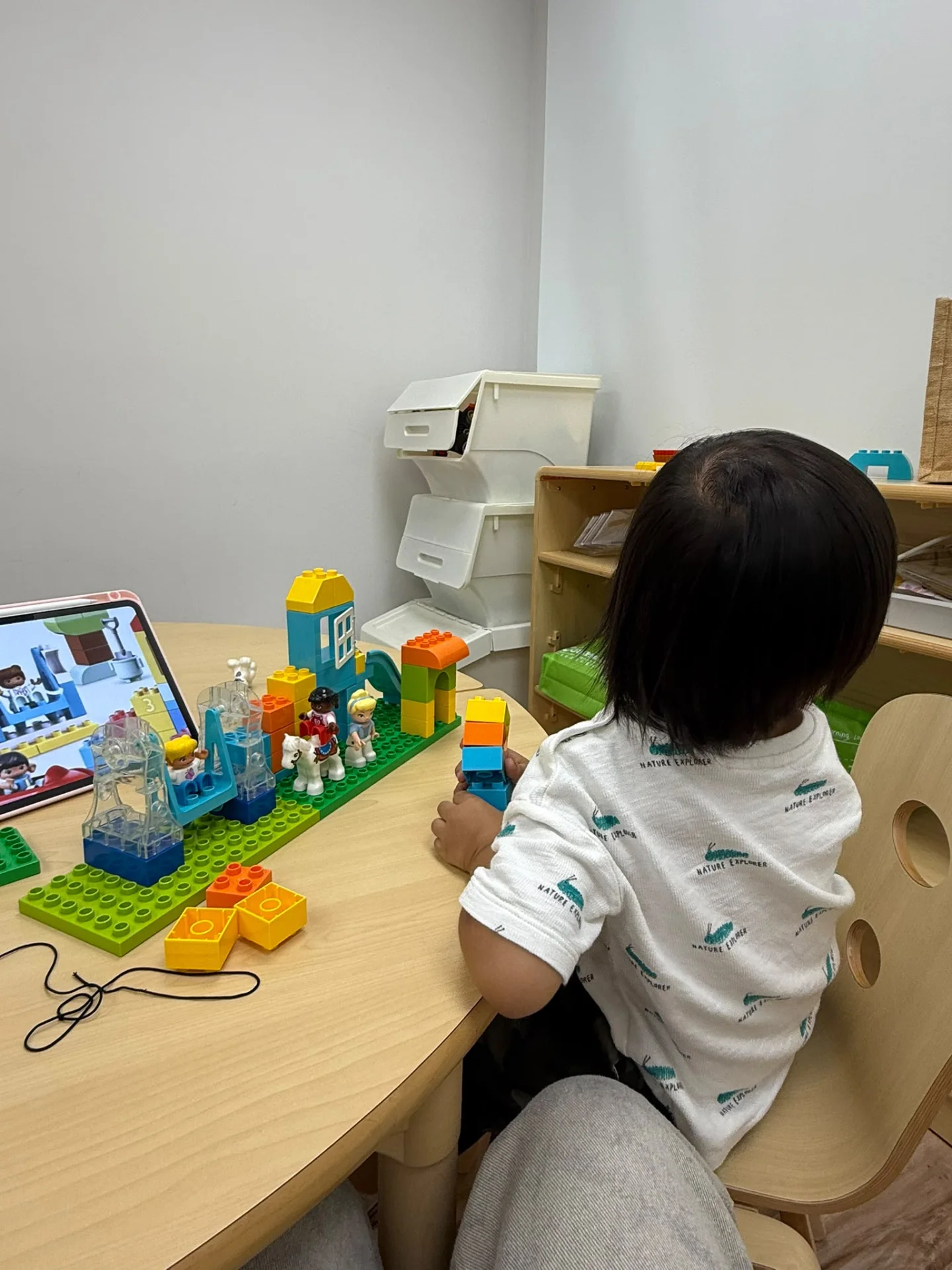 Stem Education 試堂買一送一