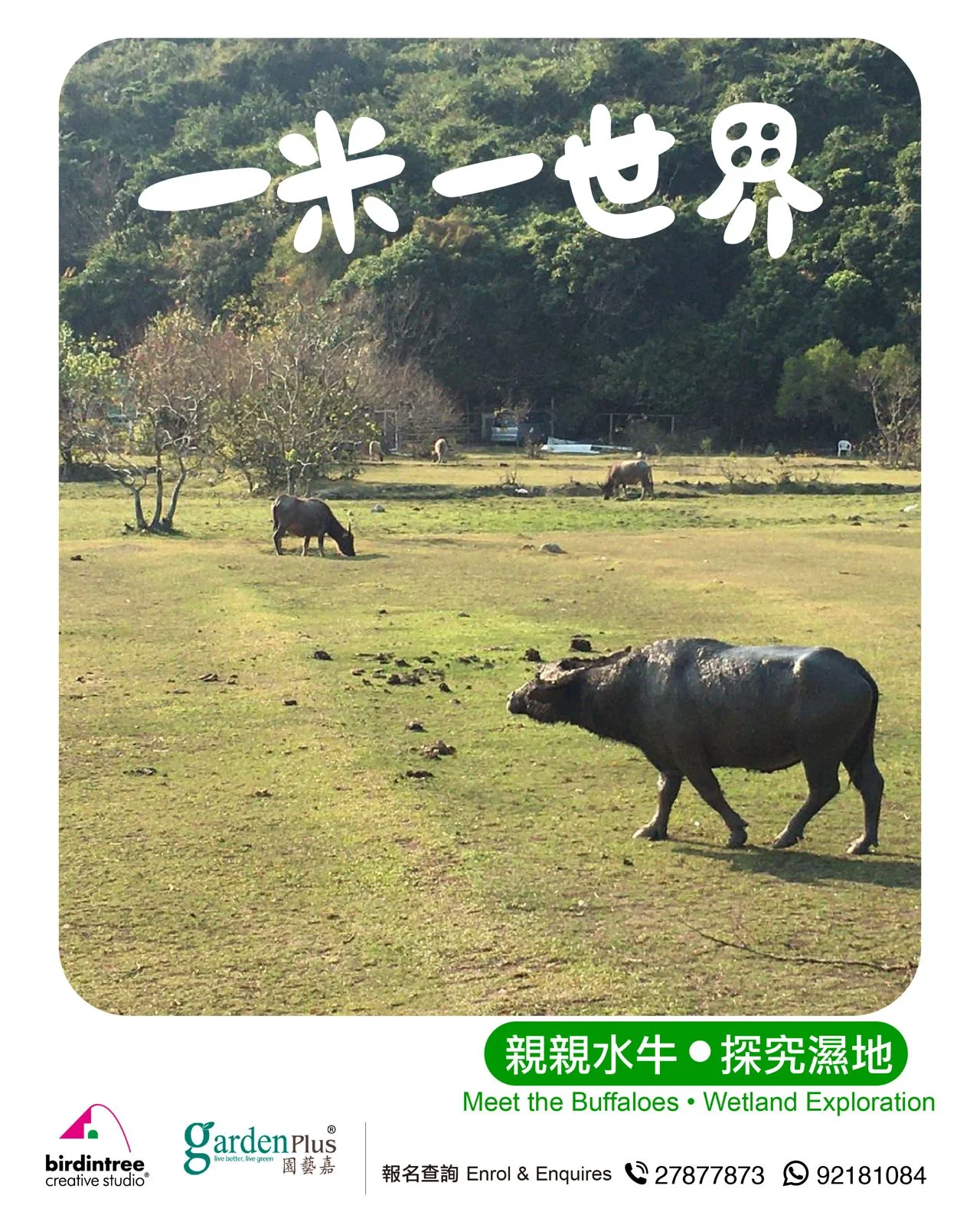 一米一世界