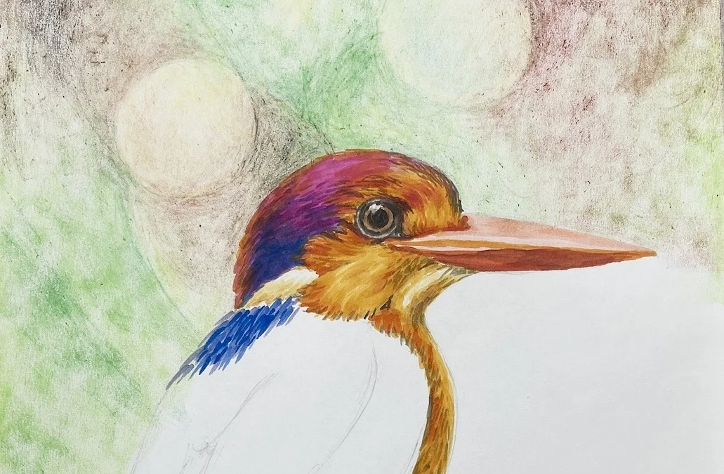 🎨循序接觸多元畫材，麥克筆×蠟筆結合創作鳥兒畫作 🖍️