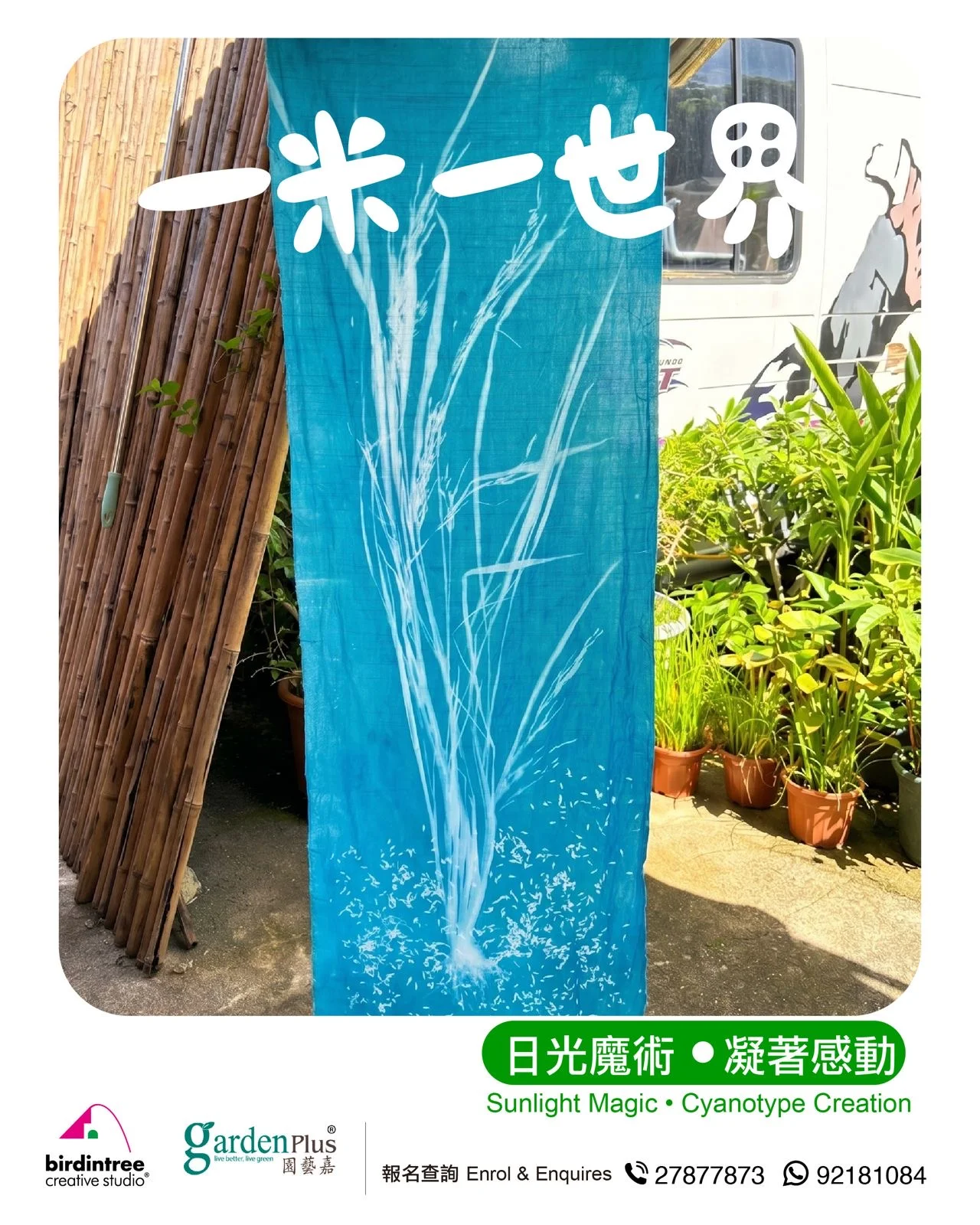 一米一世界