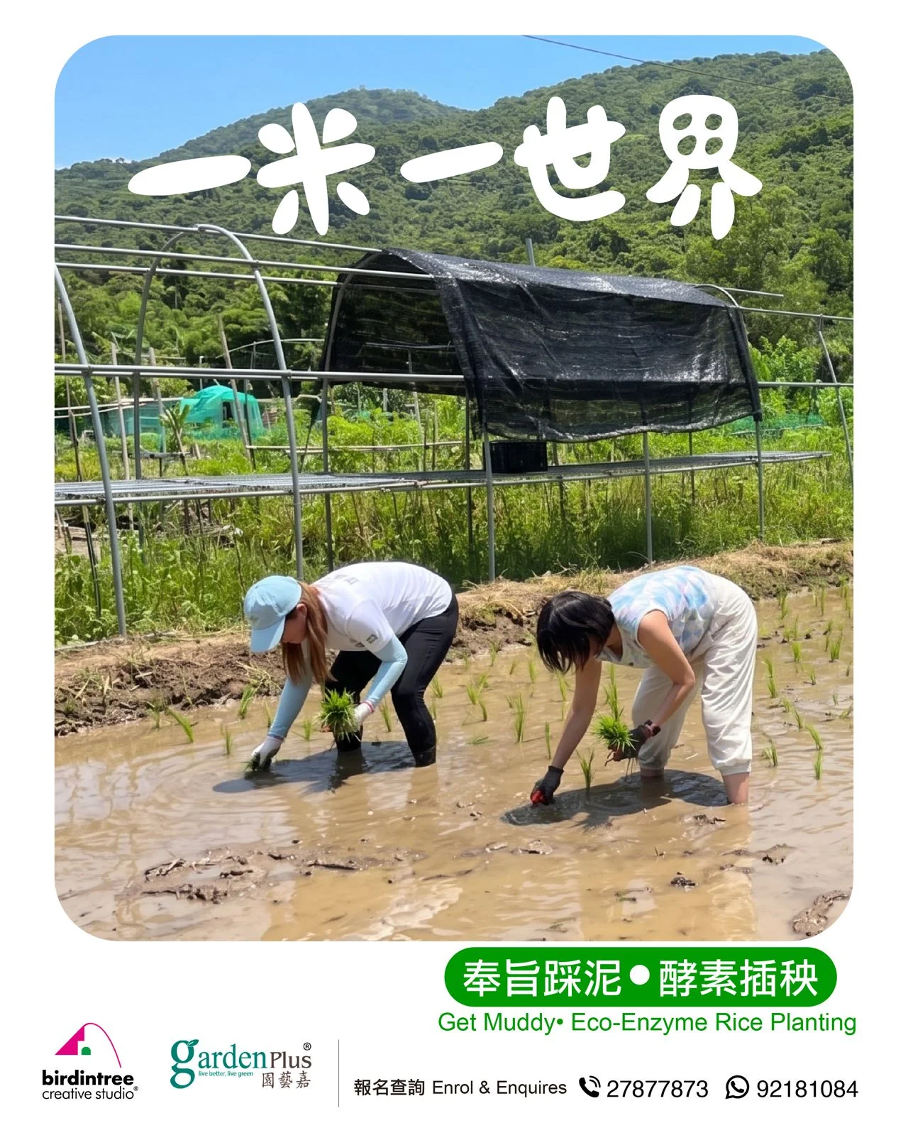一米一世界