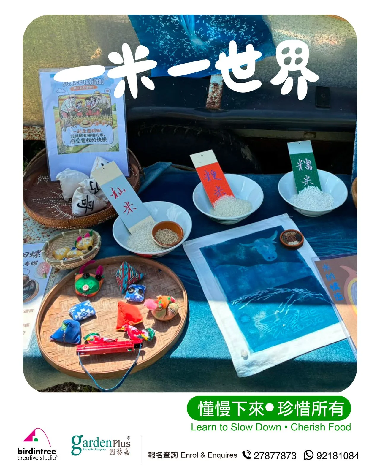 一米一世界
