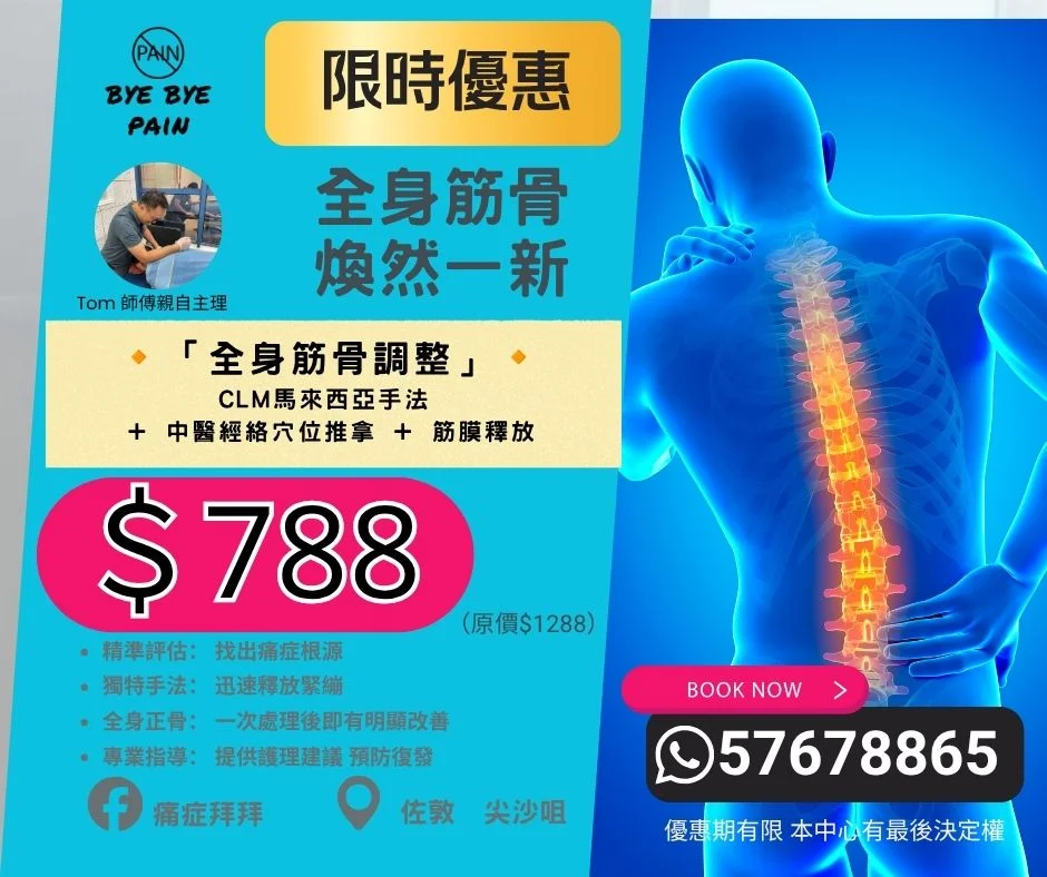 🔸「整合式痛症理療」🔸