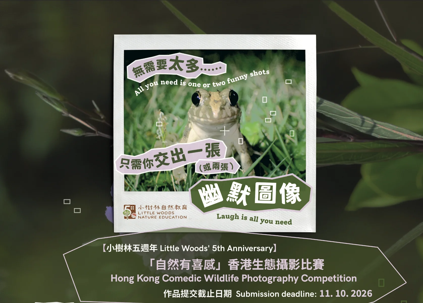 「自然有喜感」香港生態攝影比賽